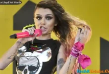 Cher Lloyd Net Worth